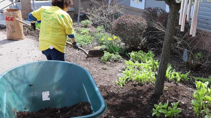 A woman shoveling mulch across a flower bed with a wheel barrel in front of frame. 